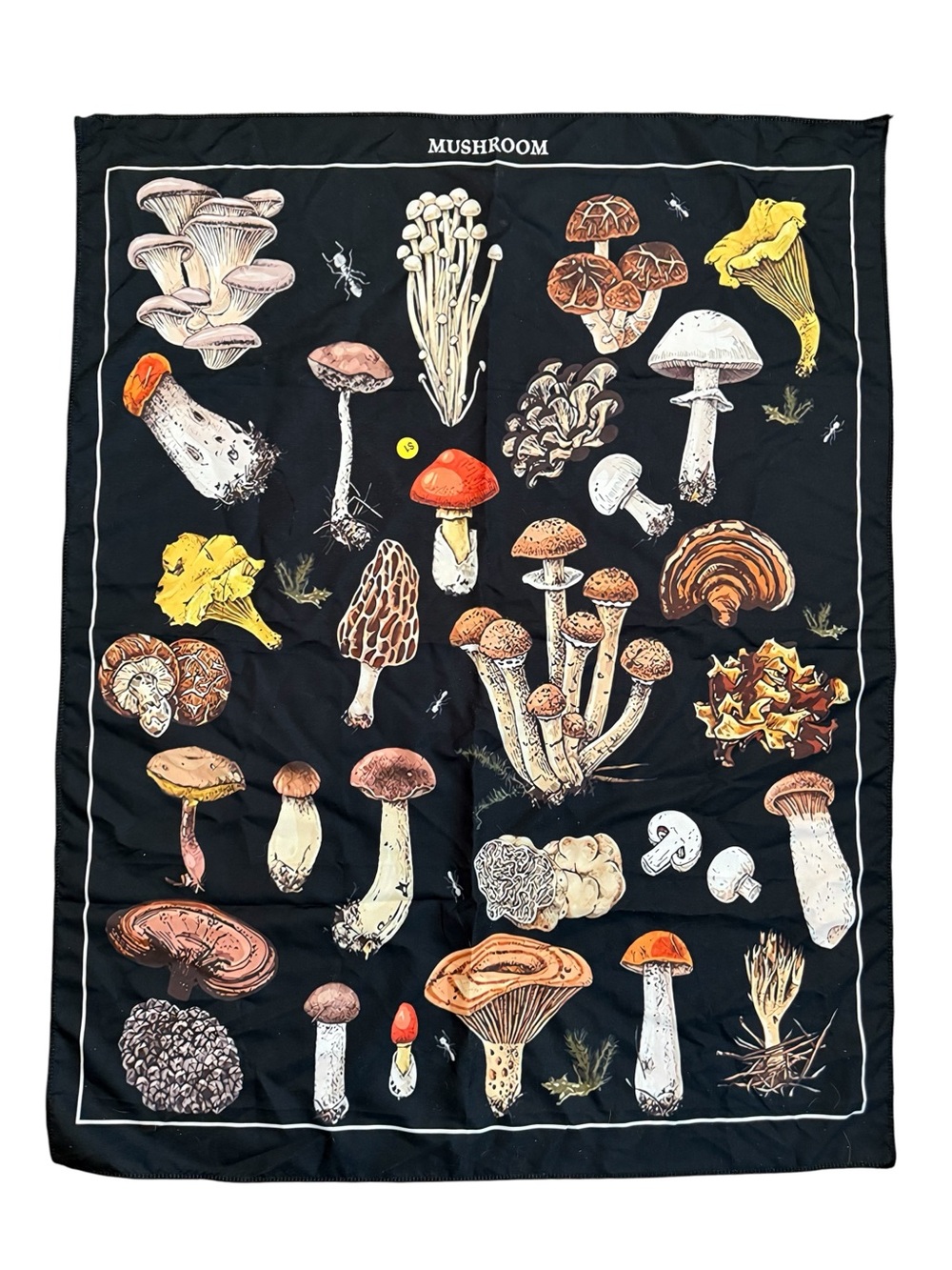🫶🏻 Vintage Mushroom Scarf